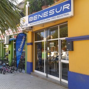 Benesur