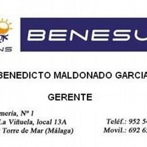 Benesur